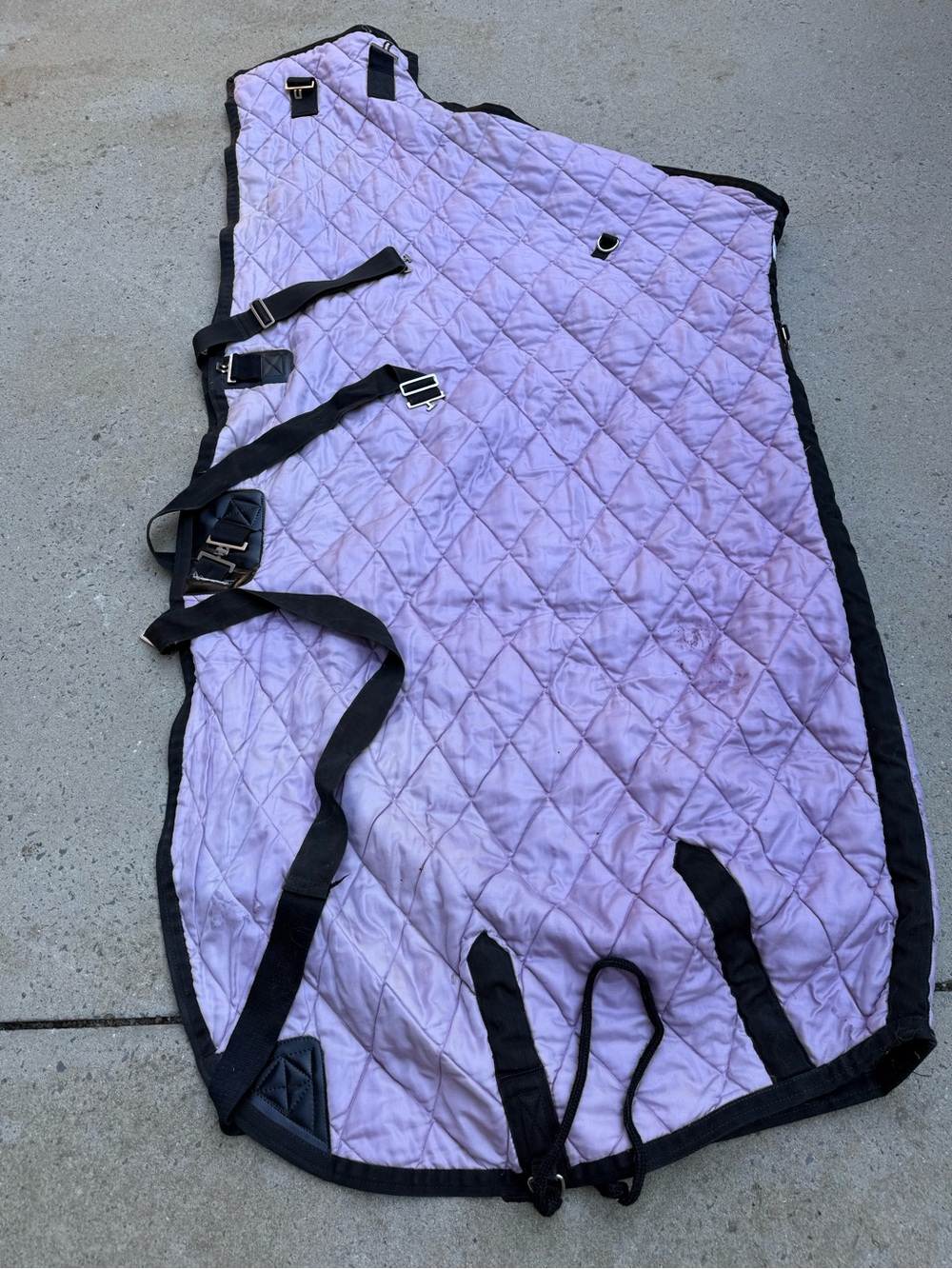 Lavender Quilted Haversham California Horse thick winter stable blanket size 80